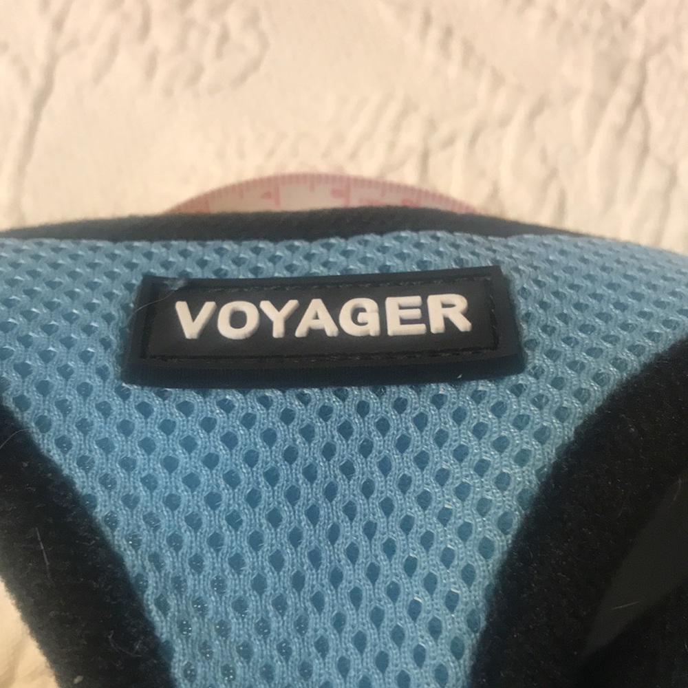 Blue walking harness - Picture 2 of 9